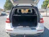 Mercedes-Benz Třídy M 250CDI – PO SERVISU
